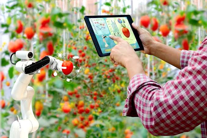 Agricultural Automation in South Africa: Improving Efficiency, Accuracy and Profitability Through Smart Technology