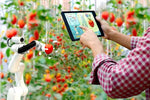 Agricultural Automation in South Africa: Improving Efficiency, Accuracy and Profitability Through Smart Technology