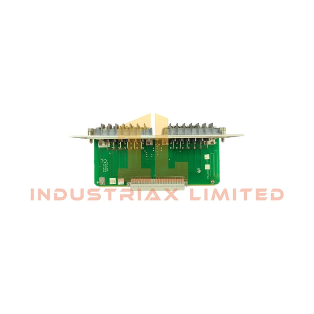 79532-01 RTD Input Terminal Module | Bently Nevada