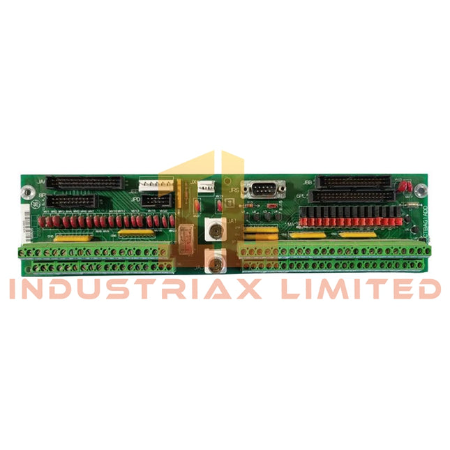GE DS200TBQBG1A Input Termination Module