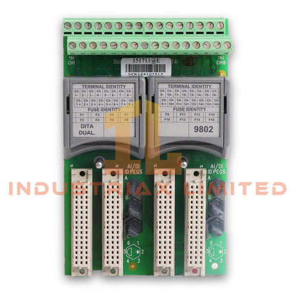 ICS Triplex T9802 Digital Input Termination Assembly