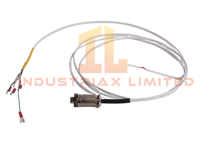Bently Nevada 16925-12 | Kabel Interkoneksi untuk Sistem Pemantauan