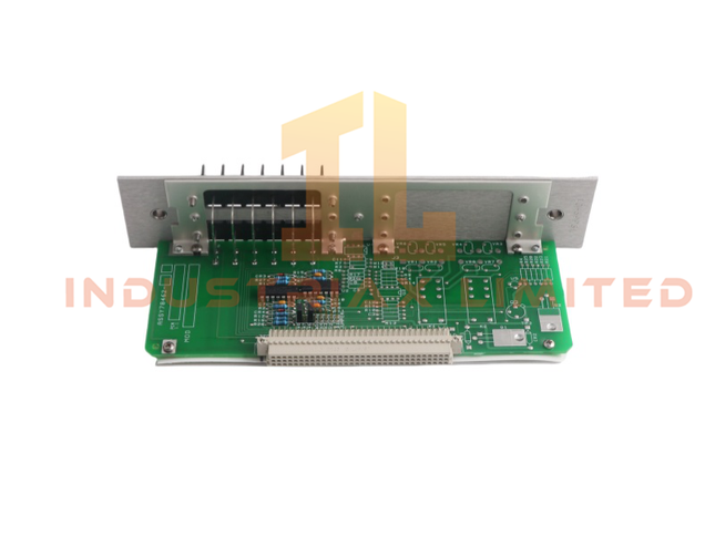 Bently Nevada 81544-01 XDUCR I/O and Record Terminals