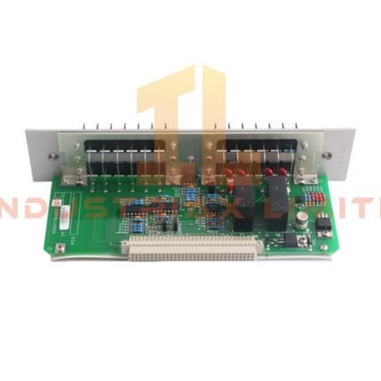 Bently Nevada 82365-01 Recorder Outputs Module