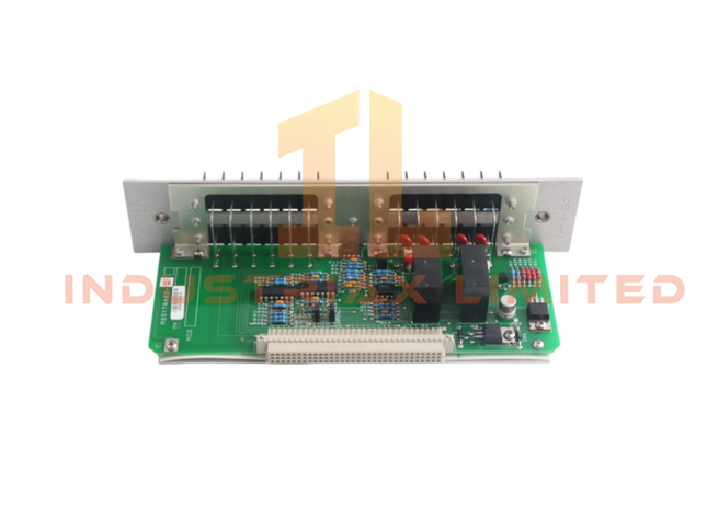 Bently Nevada 82365-01 Recorder Outputs Module