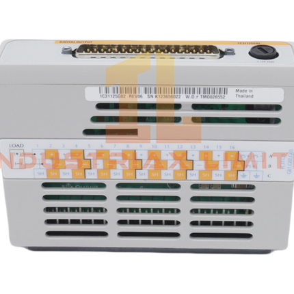 EMERSON 1C31125G02 Analog Output Module