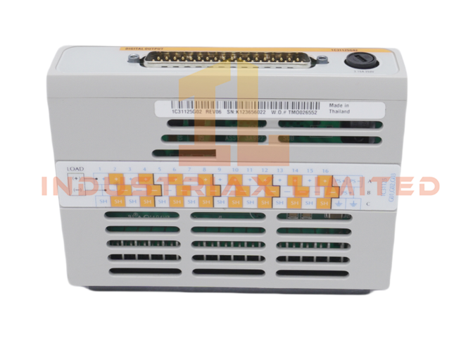 EMERSON 1C31125G02 Analog Output Module