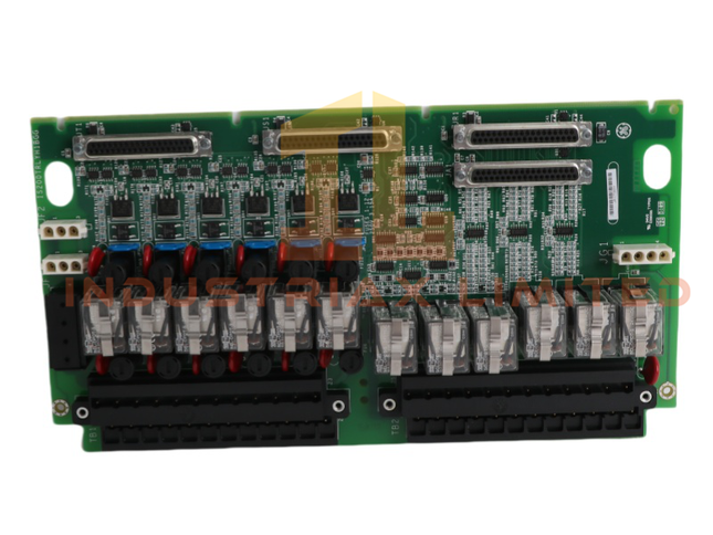 General Electric IS200TRLYH1BGG Relay Output Terminal Board
