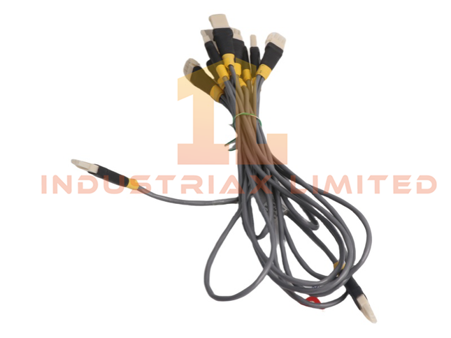 Honeywell 51202329-200 | Experion PKS | Gray Drop Cable