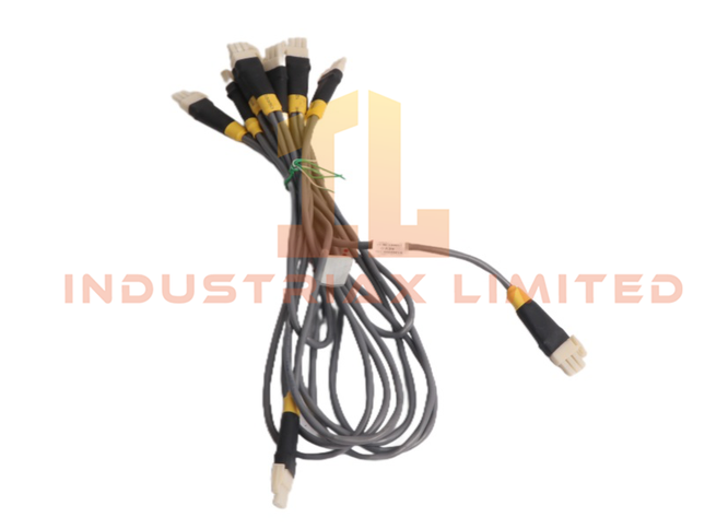 Honeywell 51202921-100 Digital Output Module