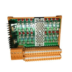 Triconex 9662-810