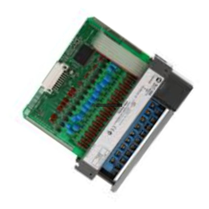 Allen-Bradley 1746-IO12DC